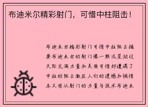 布迪米尔精彩射门，可惜中柱阻击！